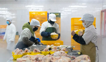 液氮速凍機(jī)助力預(yù)制菜行業(yè)還原度問(wèn)題