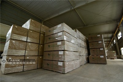 高清:記者感受梧州林業(yè)發(fā)展