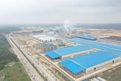 廣西欽州50萬立方米超強刨花板項目首板下線